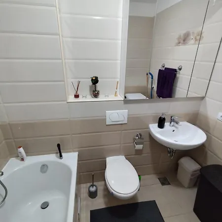 Cozy At Grandis #brasov Apartment